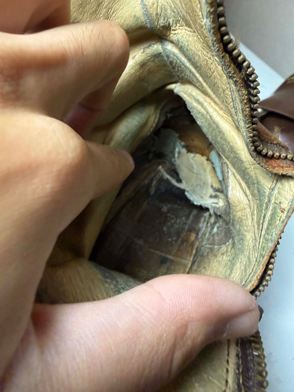 Sold - Picture 14 of 16